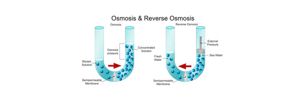 What is Osmosis and Reverse Osmosis System?